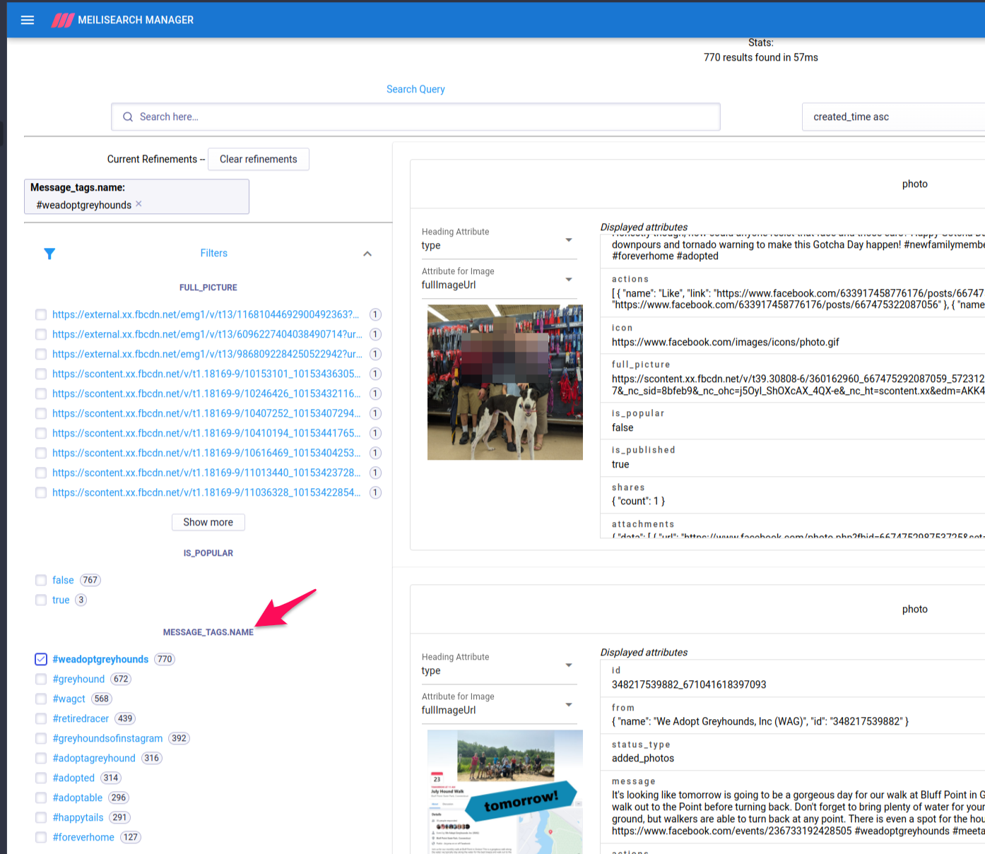 meili manaager view of tag filter